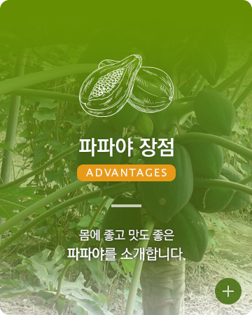 파파야장점